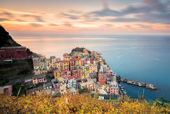 Manarola, Cinque Terre, Province of La Spezia, Liguria, Italy, Europe