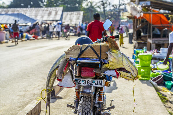 foto  - Motorbike in the fishing village of Mkokotoni, Zanzibar, Tanzania
