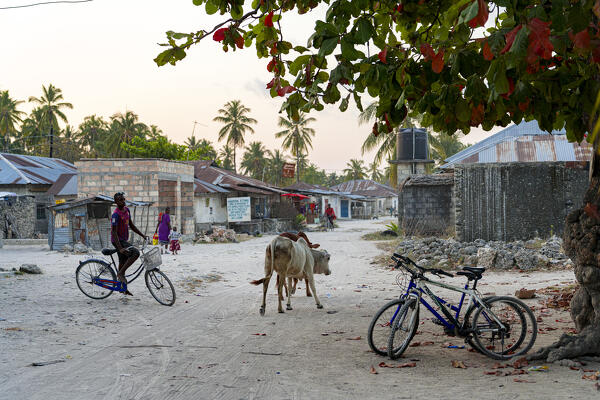 foto  - Traditional African village of Jambiani, Zanzibar, Tanzania