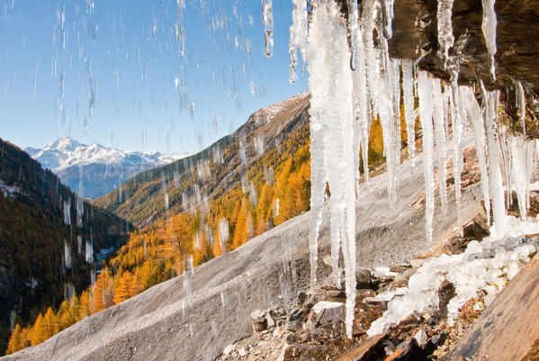 foto  - Zebrù valley in autumn with ice stalactites - Valtellina - Lombardy